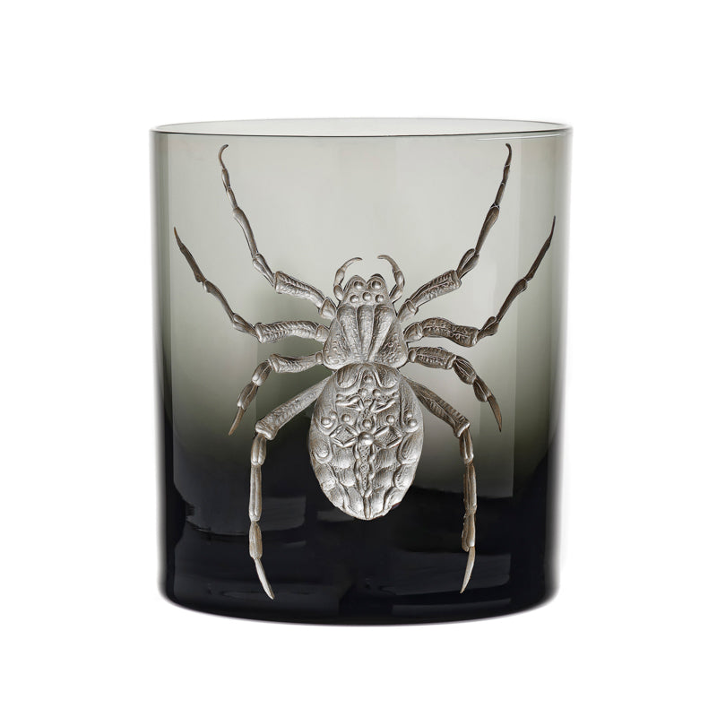 Cabinet of Curiosities Spider