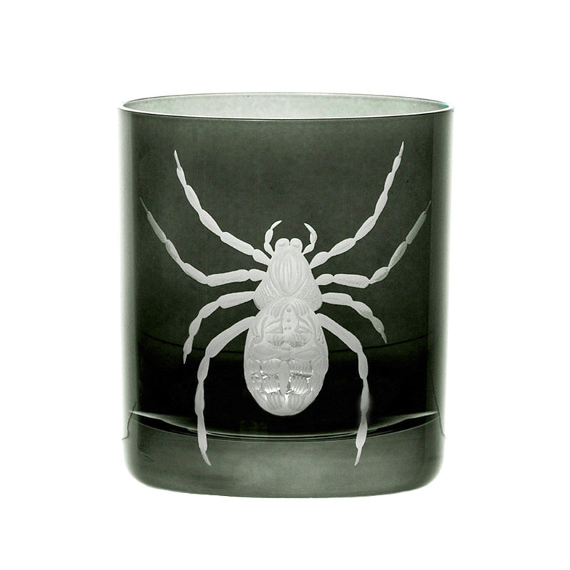 Cabinet of Curiosities Spider