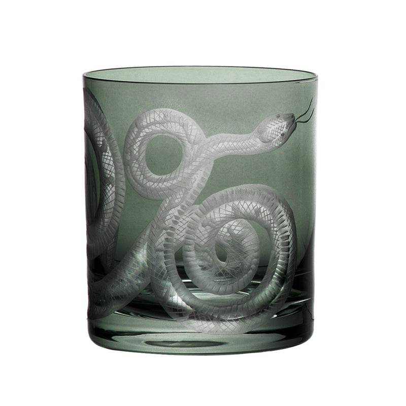 Cabinet of Curiosities Snake