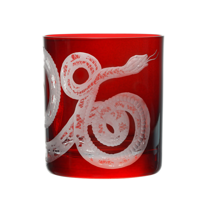 Cabinet of Curiosities Snake