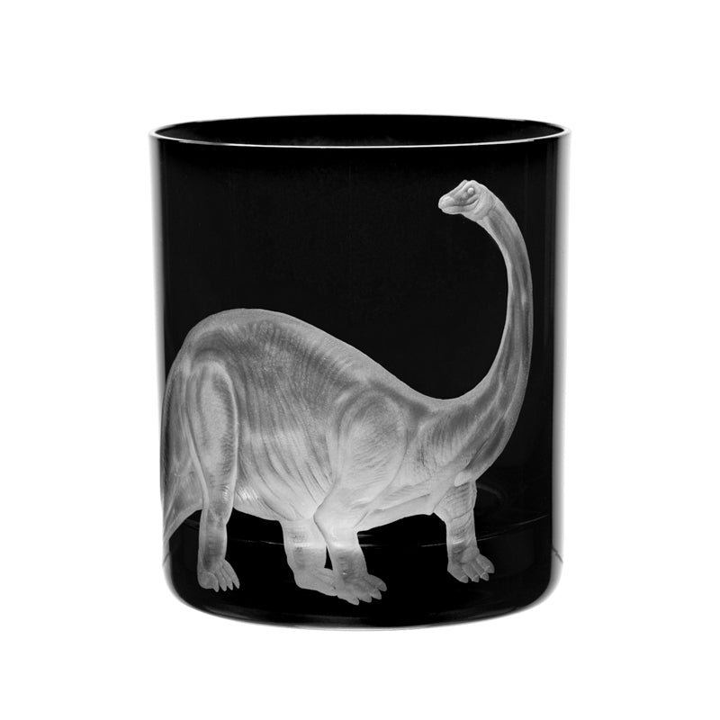 Dinosaur Collection 1 Brontosaurus