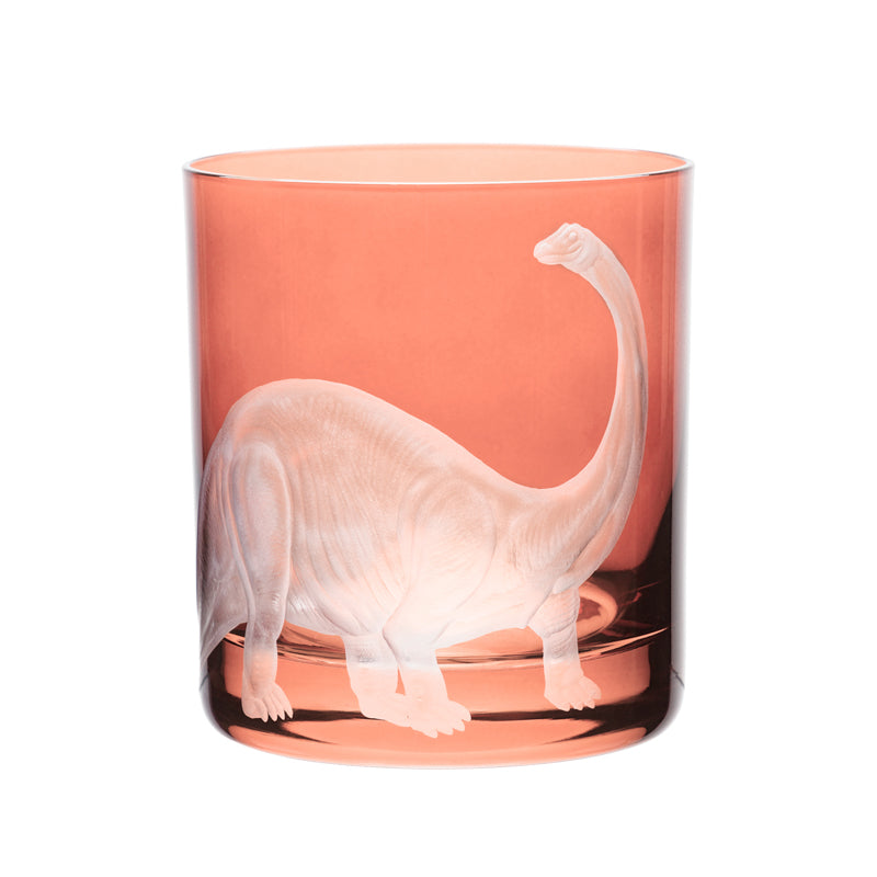 Dinosaur Collection 1 Brontosaurus