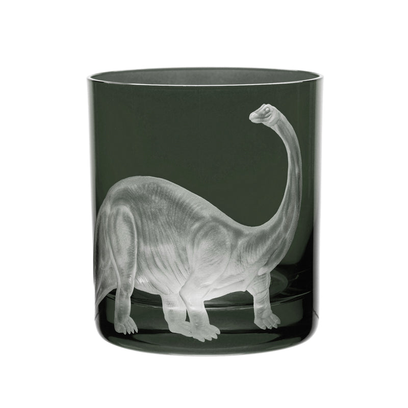 Dinosaur Collection 1 Brontosaurus