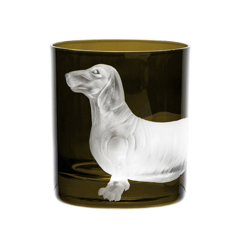 Dog Dachshund