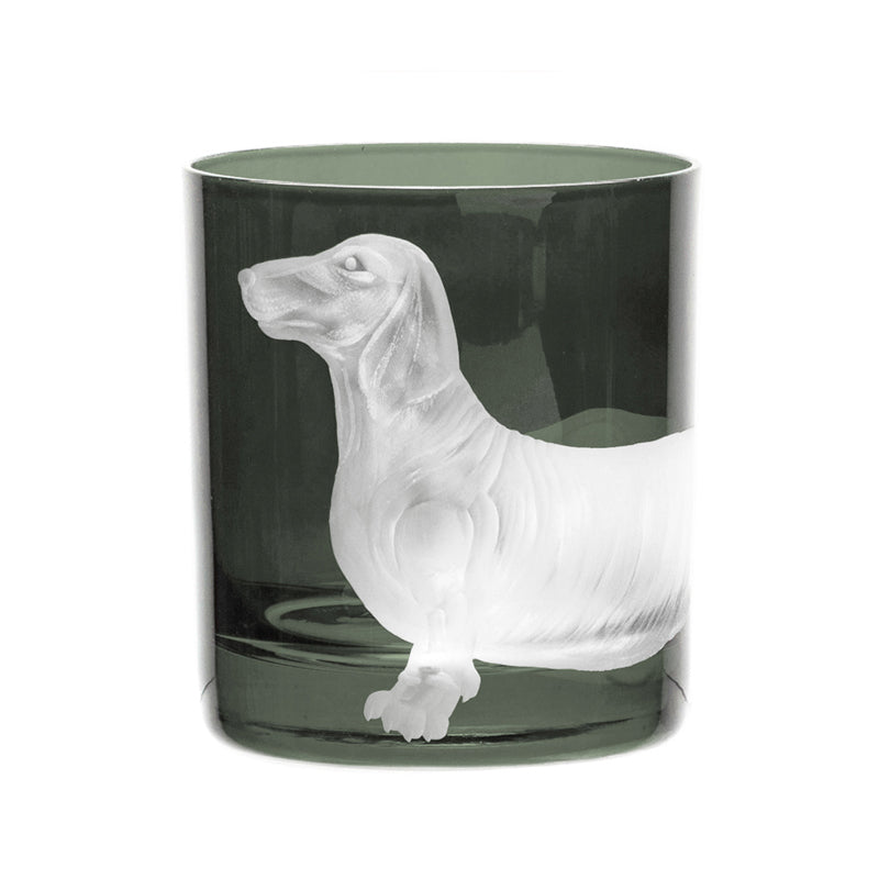 Dog Dachshund