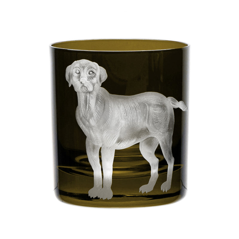 Dog Labrador