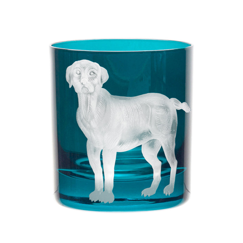 Dog Labrador