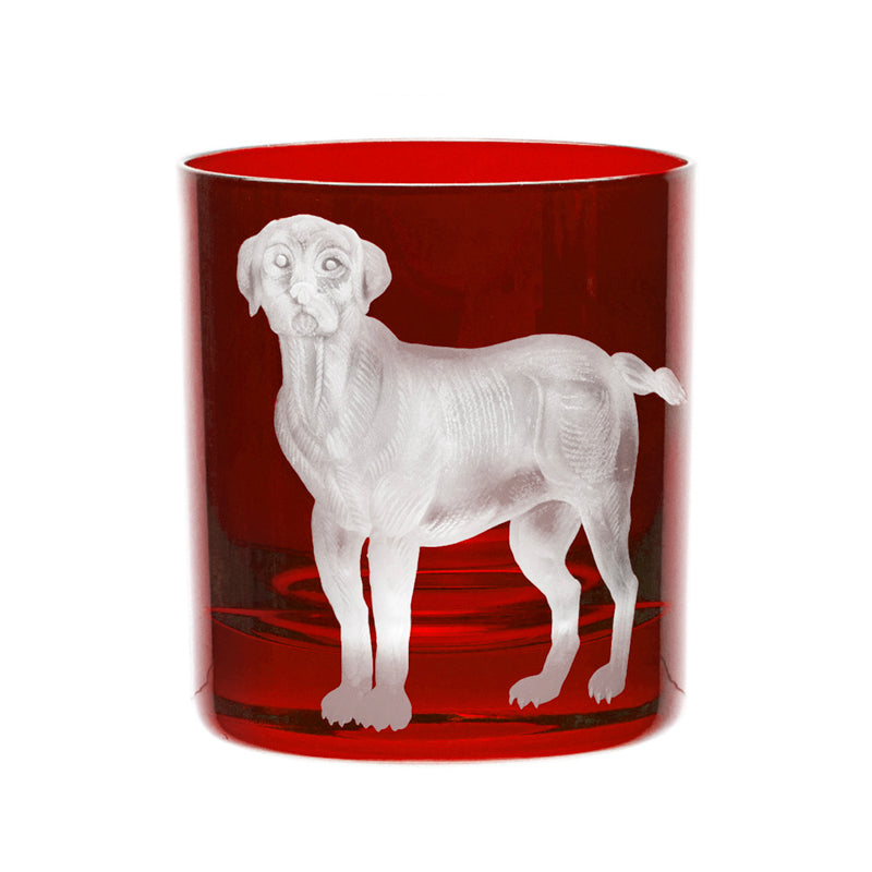 Dog Labrador