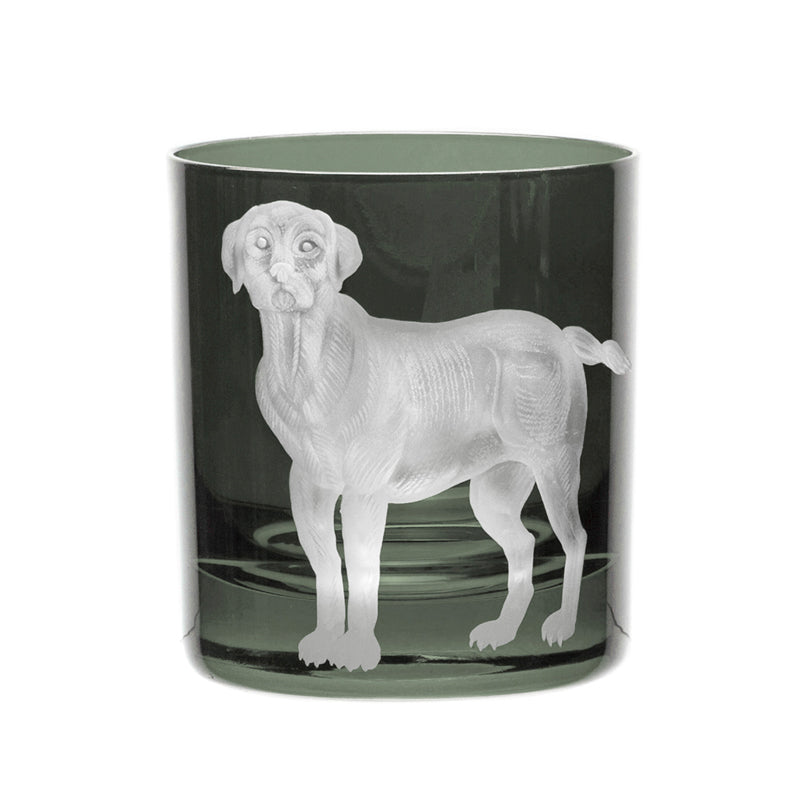 Dog Labrador