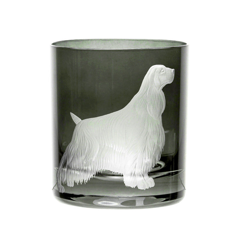 Best Of Breed Springer Spaniel