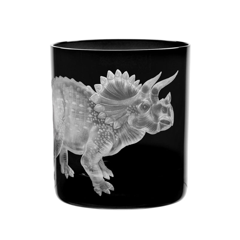 Dinosaur Collection 1 Triceratops