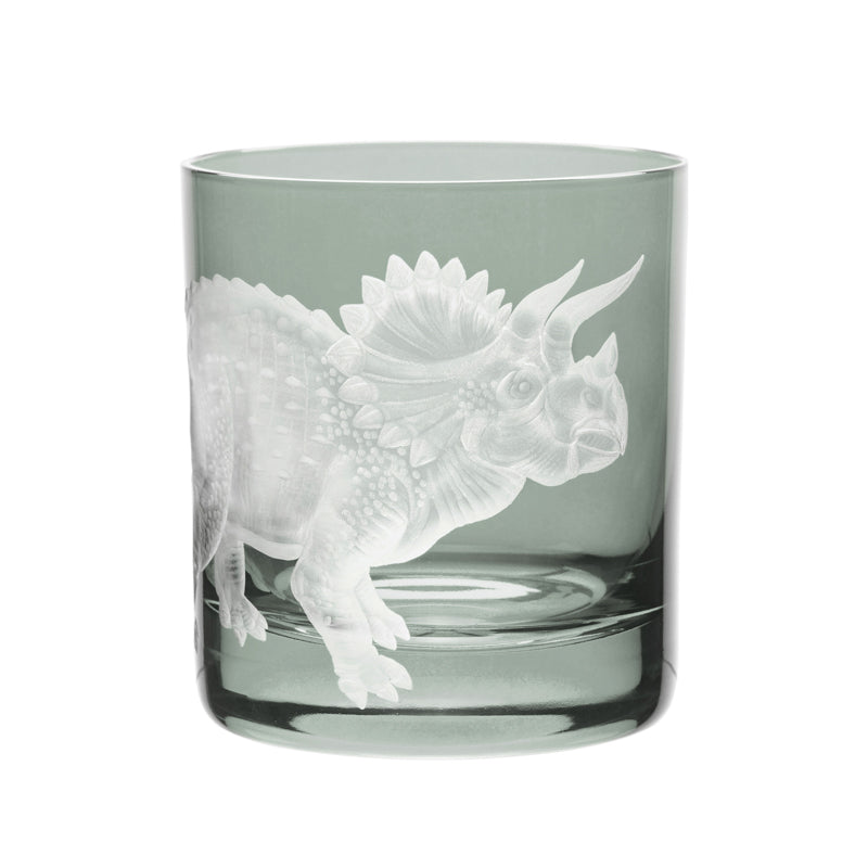 Dinosaur Collection 1 Triceratops