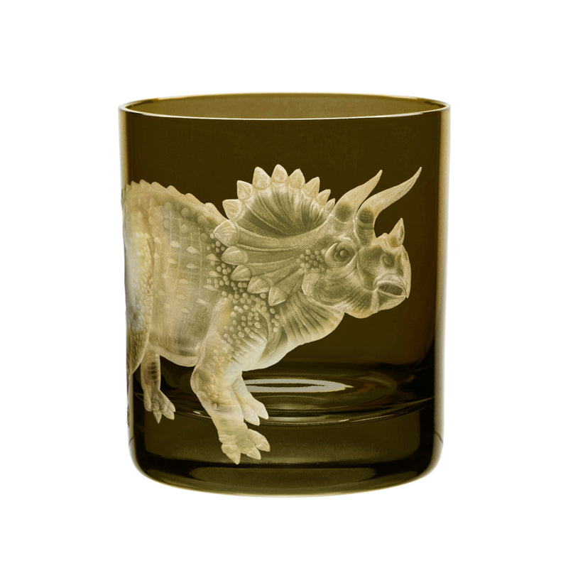 Dinosaur Collection 1 Triceratops