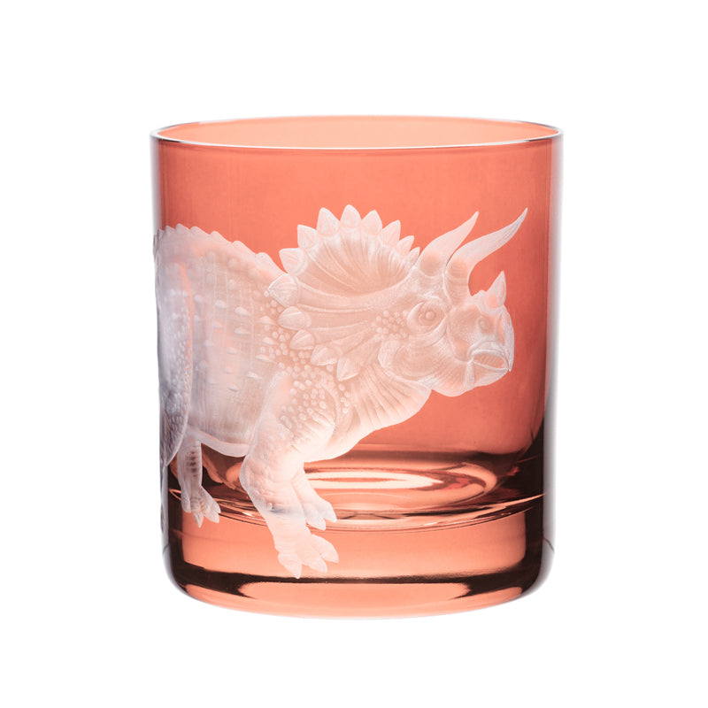 Dinosaur Collection 1 Triceratops