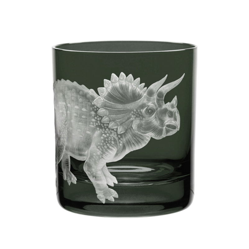 Dinosaur Collection 1 Triceratops