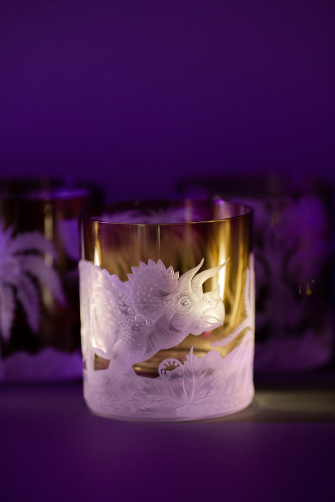 Dinosaur Collection 2 Triceratops with Background