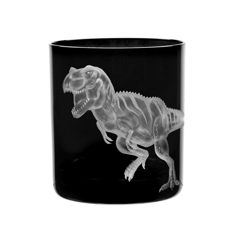 Dinosaur Collection 1 T-Rex