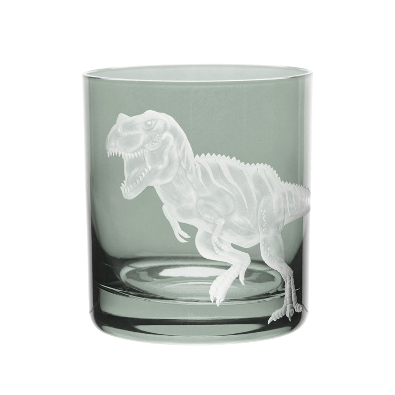 Dinosaur Collection 1 T-Rex