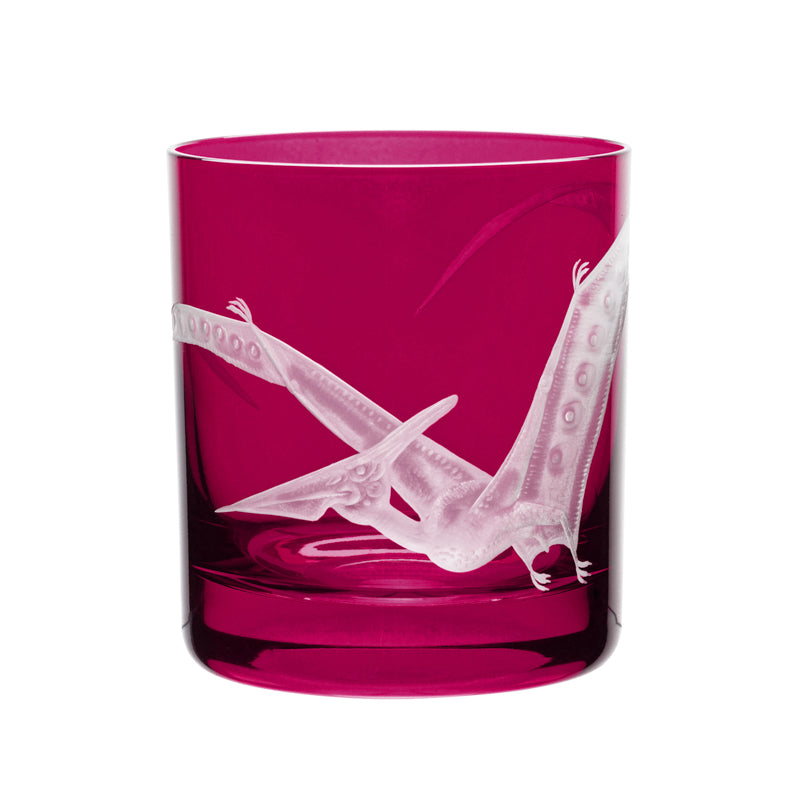 Dinosaur Collection 1 Pterodactyl