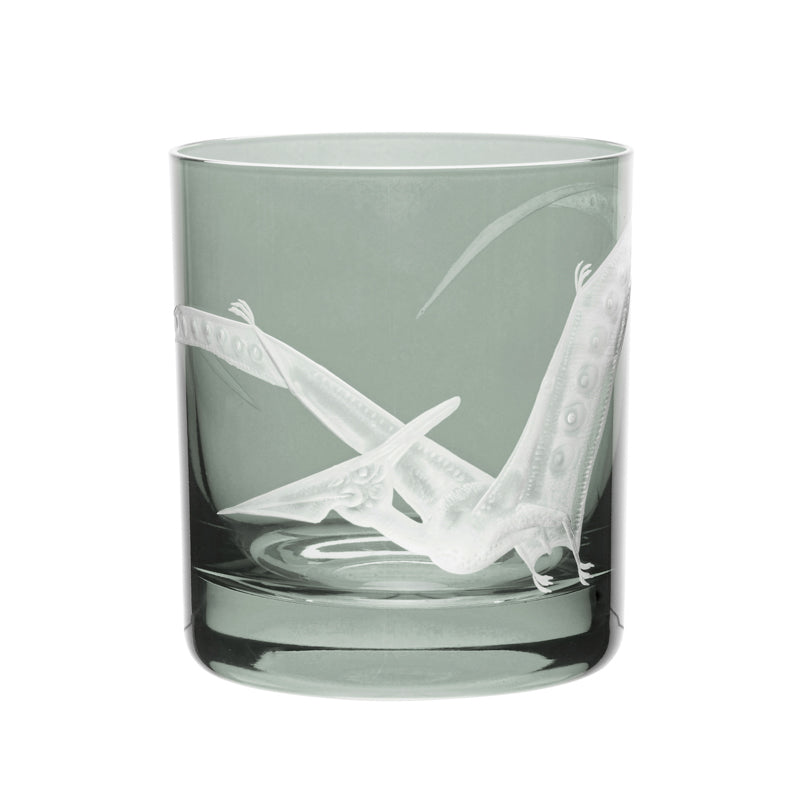 Dinosaur Collection 1 Pterodactyl