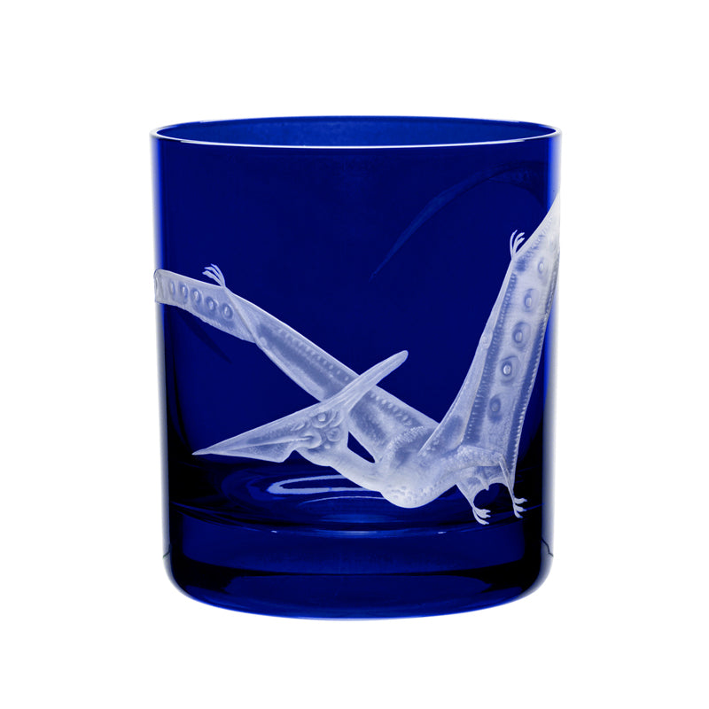 Dinosaur Collection 1 Pterodactyl