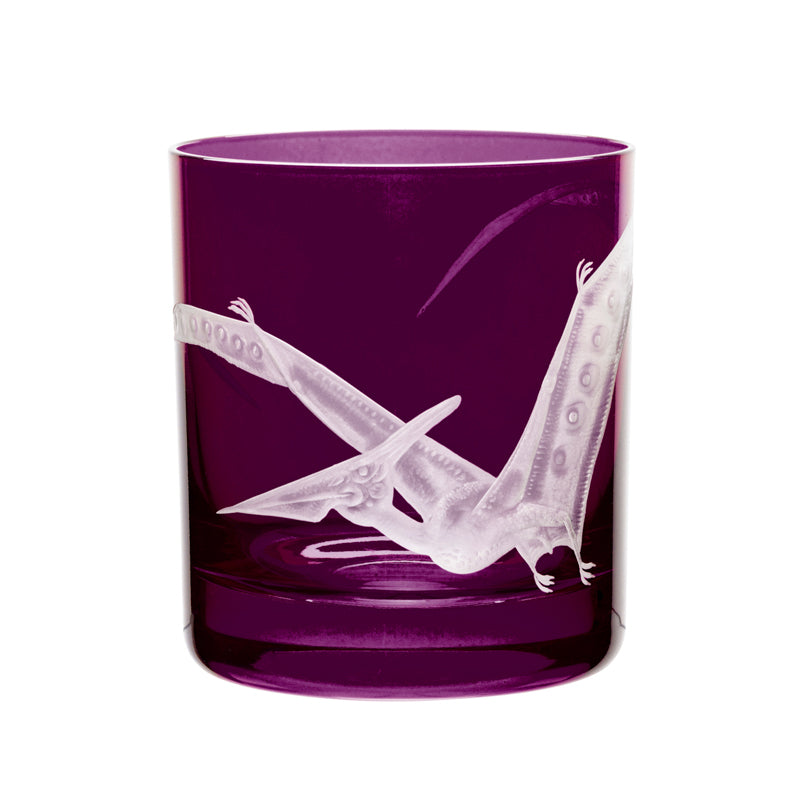 Dinosaur Collection 1 Pterodactyl