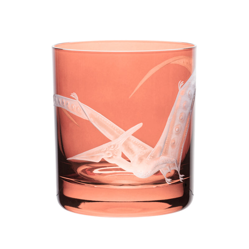 Dinosaur Collection 1 Pterodactyl