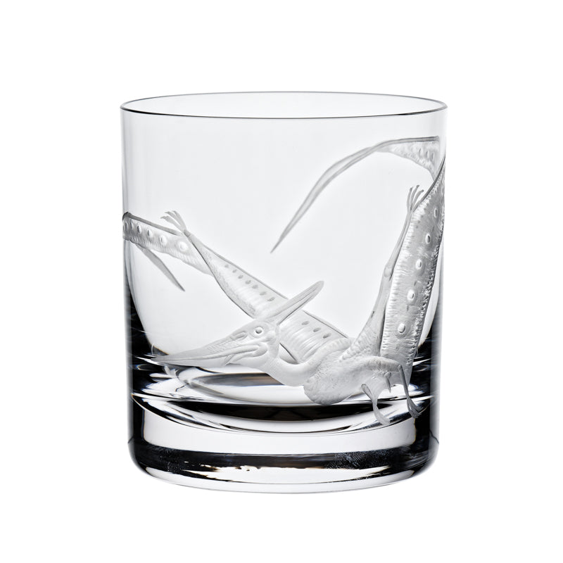 Dinosaur Collection 1 Pterodactyl