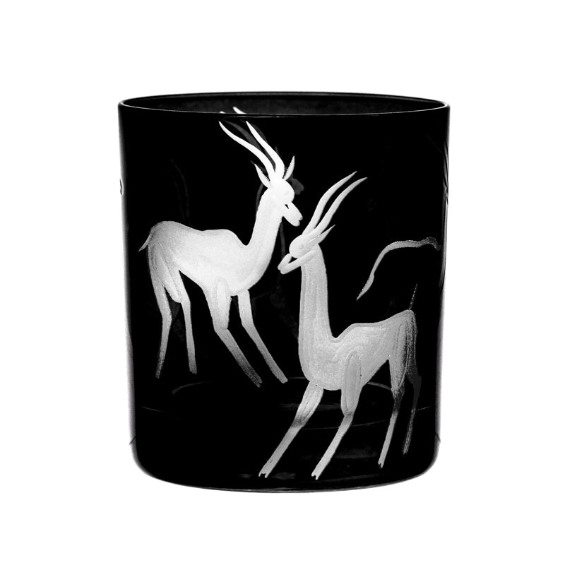 Safari Gazelles