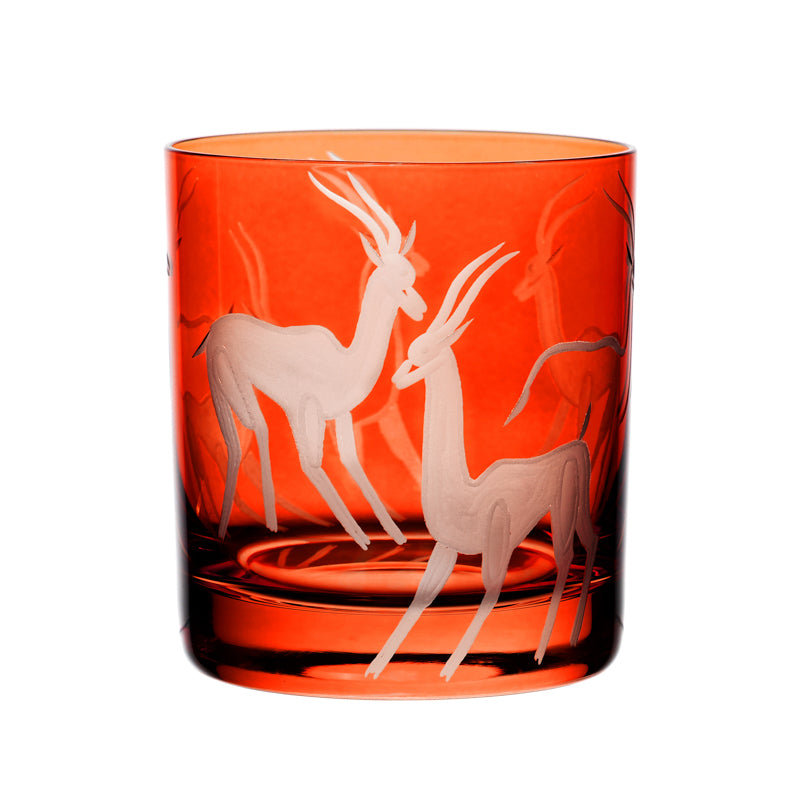 Safari Gazelles