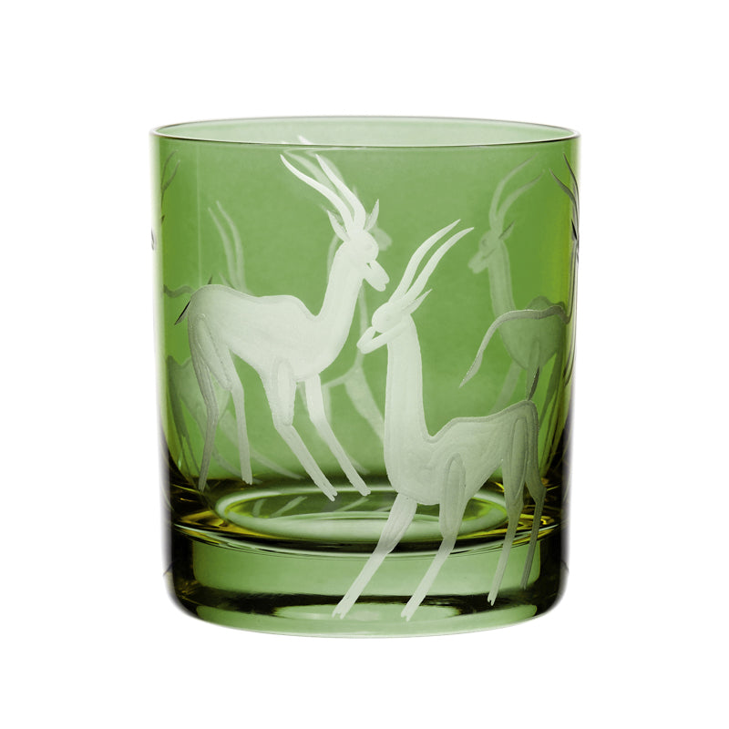 Safari Gazelles