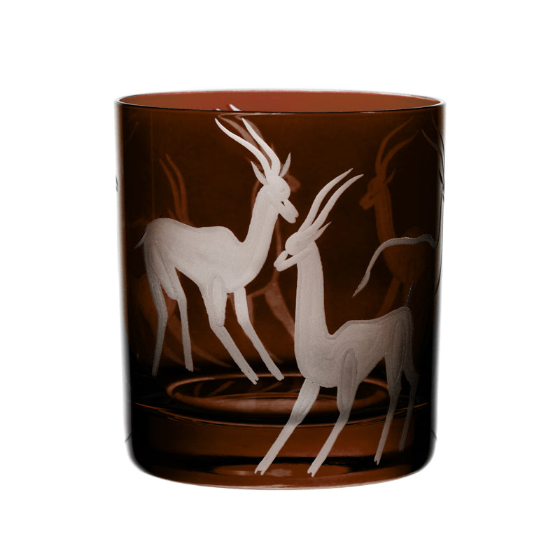 Safari Gazelles