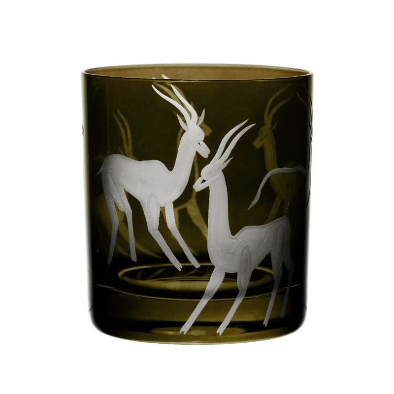 Safari Gazelles