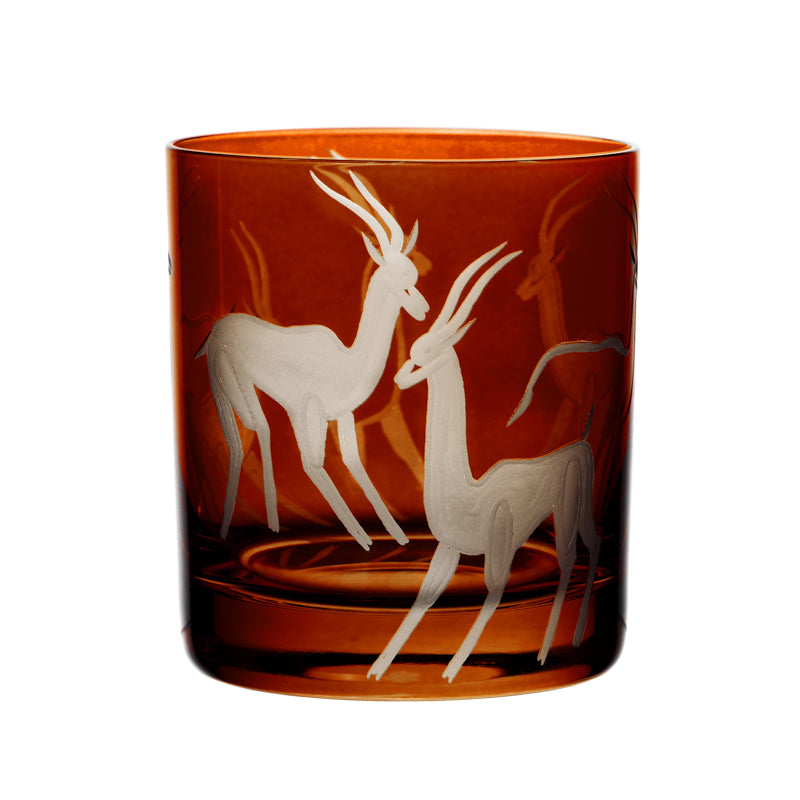 Safari Gazelles
