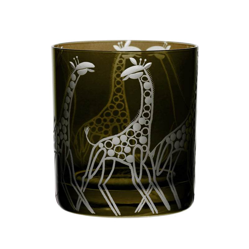 Safari Giraffes