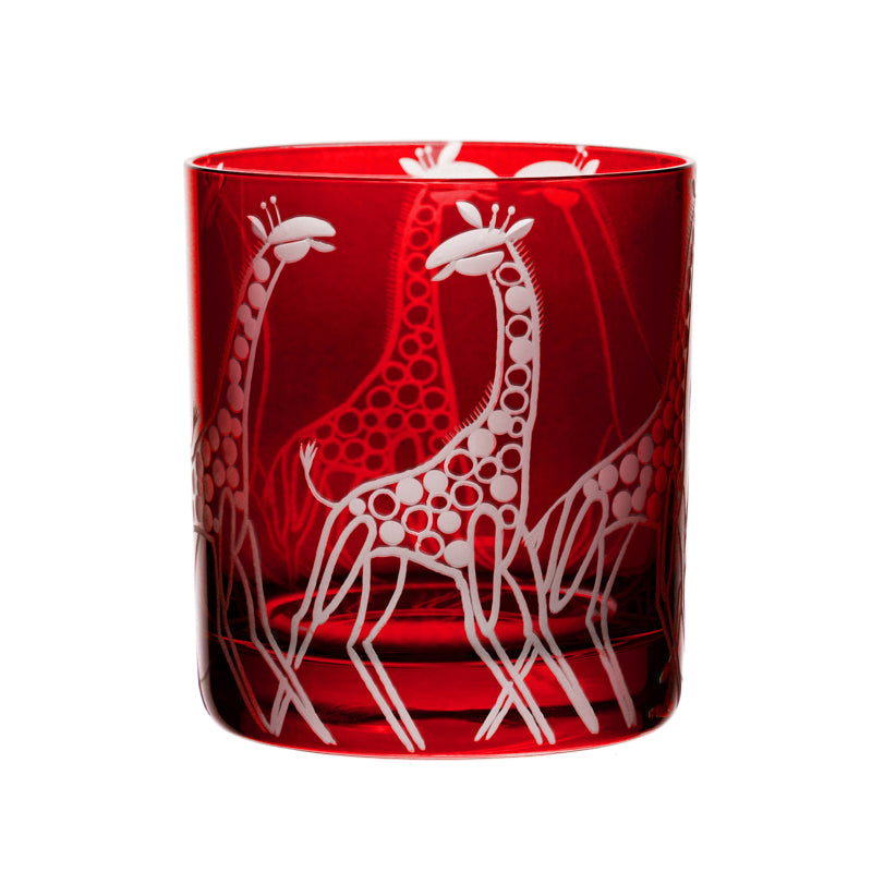 Safari Giraffes