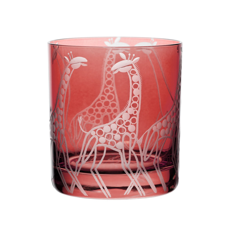 Safari Giraffes