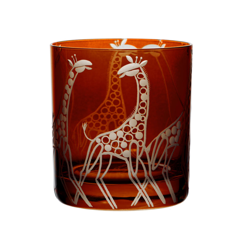 Safari Giraffes