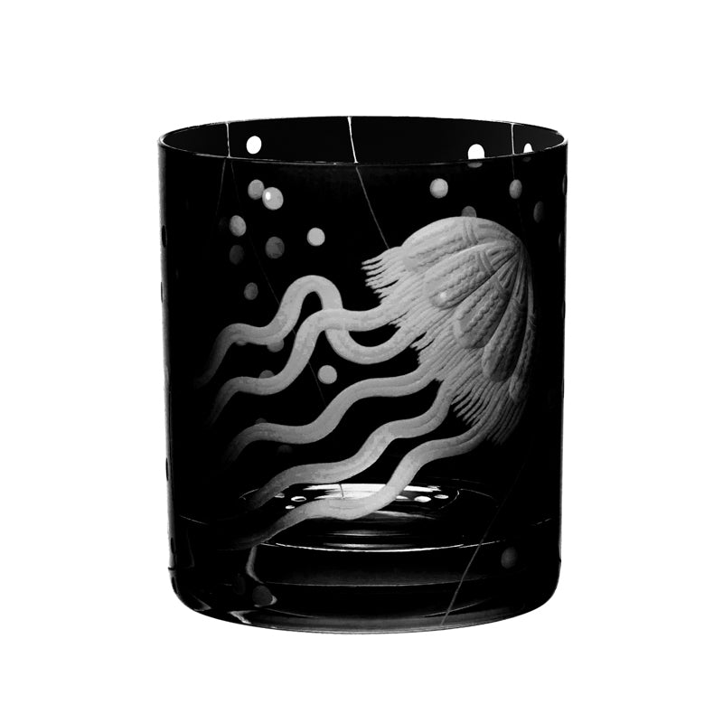 Sea Life Jellyfish