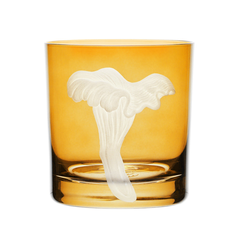 Mushrooms Chanterelle