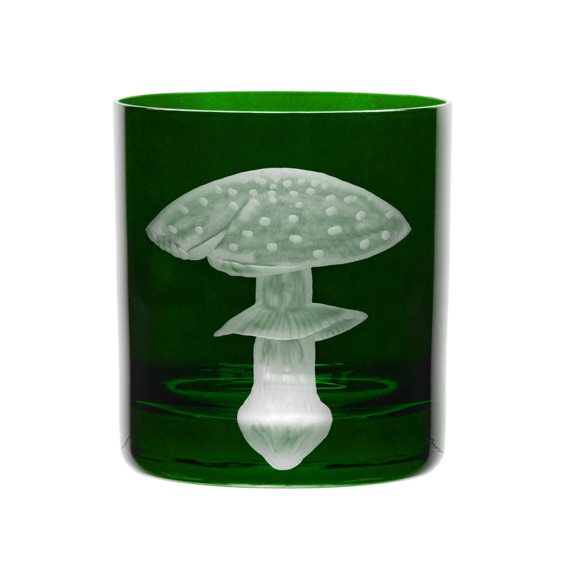 Mushrooms Fly Amanita