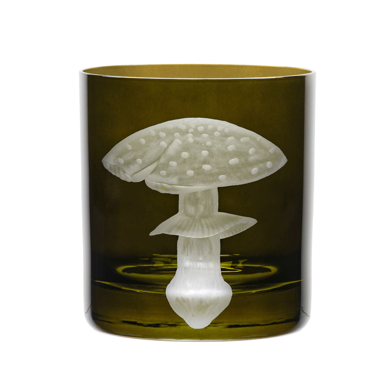 Mushrooms Fly Amanita