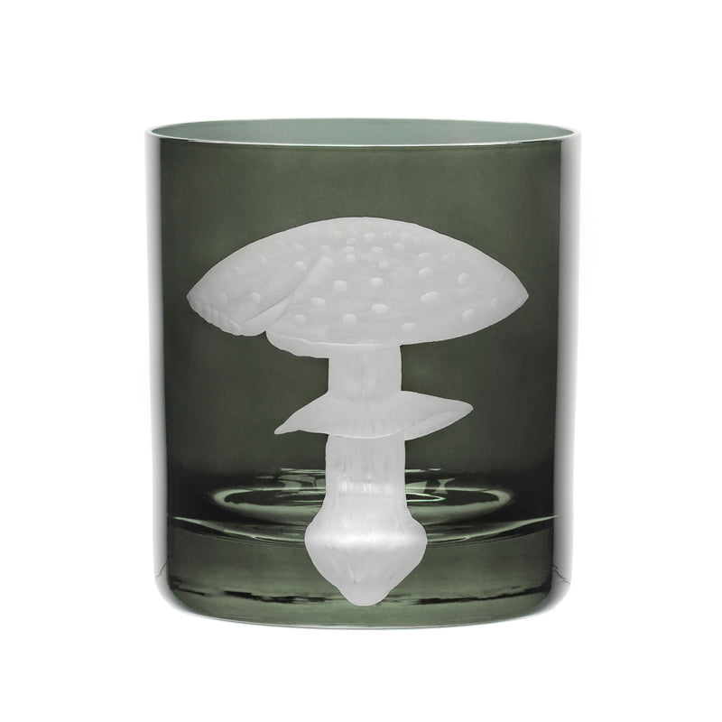 Mushrooms Fly Amanita