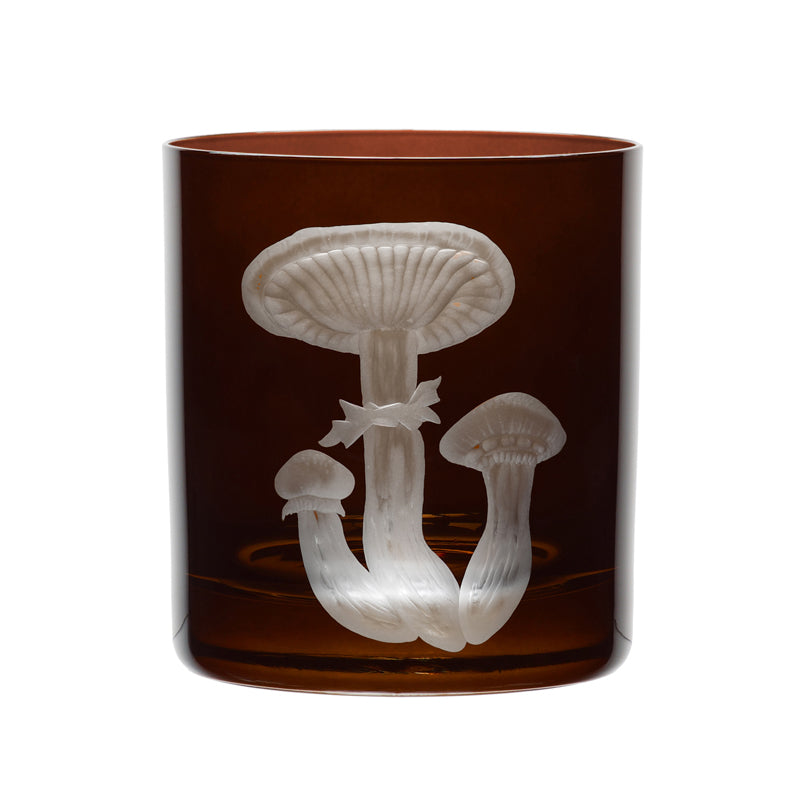 Mushrooms Honey Fungus