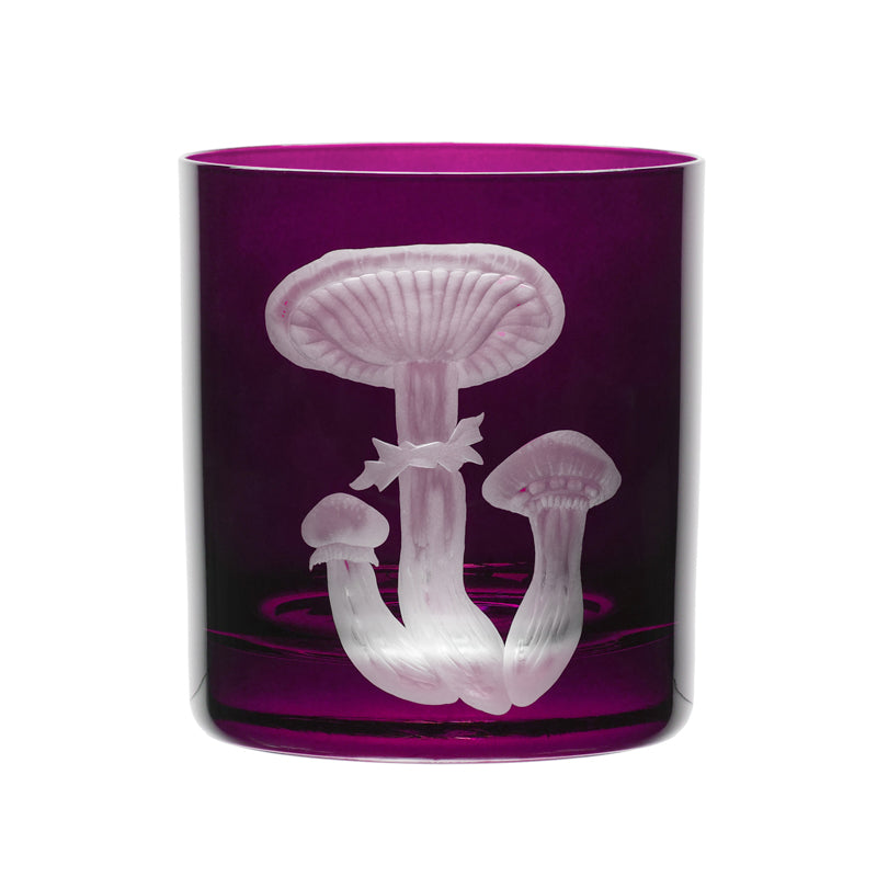 Mushrooms Honey Fungus