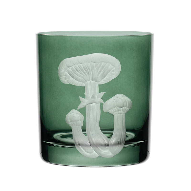 Mushrooms Honey Fungus