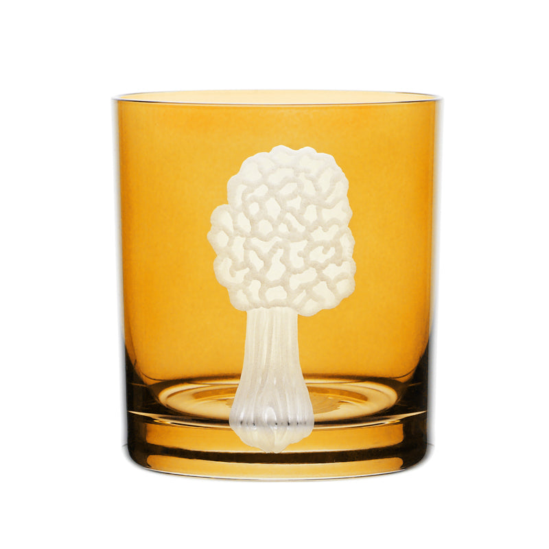 Mushrooms Morel