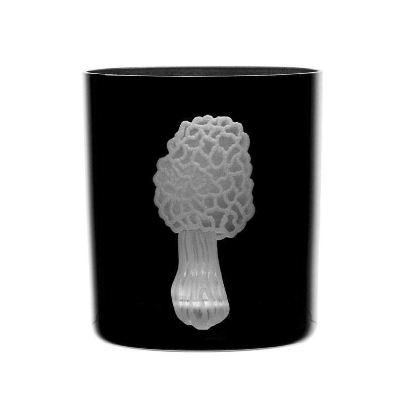 Mushrooms Morel