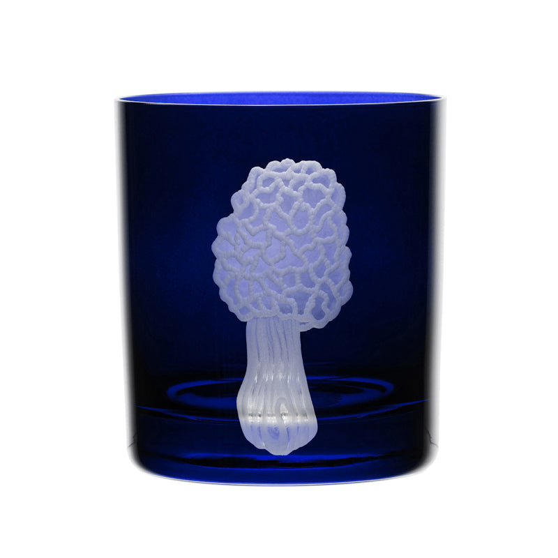 Mushrooms Morel