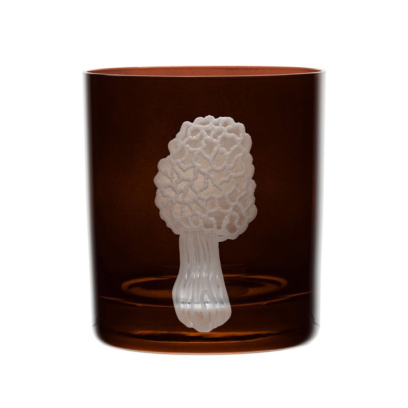 Mushrooms Morel